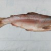 Нерка свежемороженая - Royal-Fish96